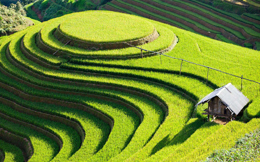 Aperçu du nord Vietnam