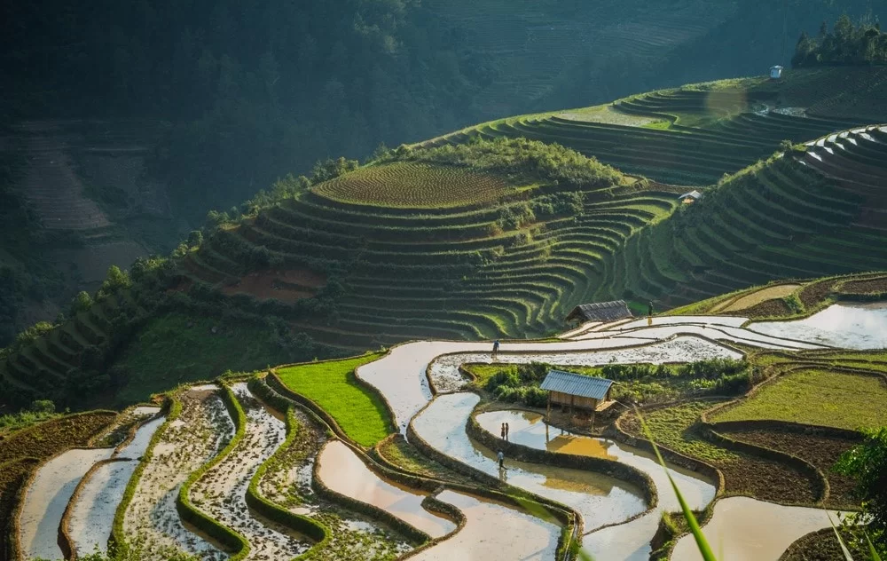 Préparez votre séjour, que faire au Vietnam en mai ?