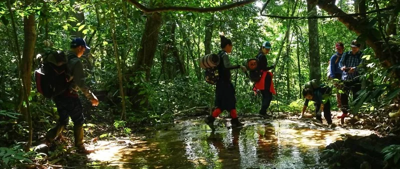 Parc national de Cuc Phuong : Votre prochaine escapade nature