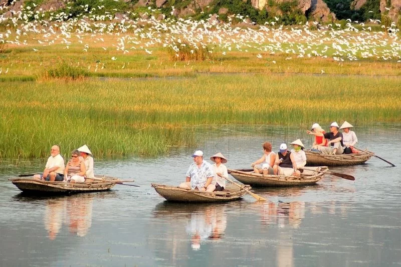 Van Long : une aventure écologique au cœur de Ninh Binh