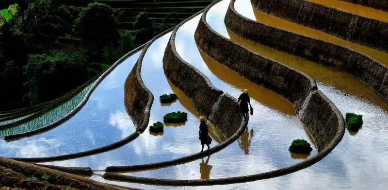 Transport et hébergement au Vietnam à votre rythme