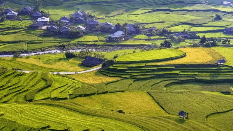 Nghia Lo : Le cœur authentique du Nord-Ouest vietnamien