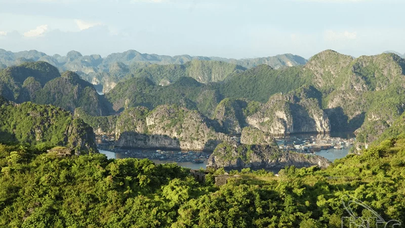 Parc National de Cat Ba