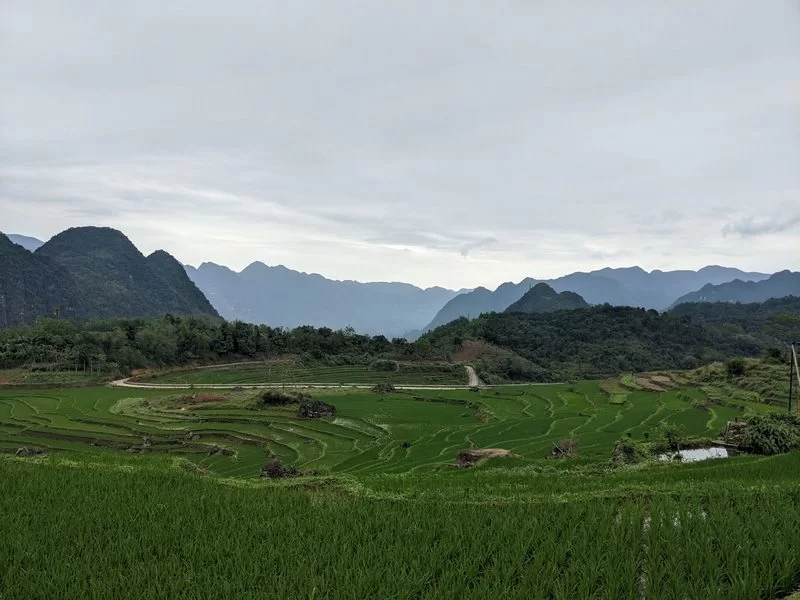 Pu Luong en mars