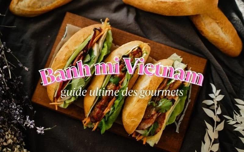 Tout savoir sur le Banh mi Vietnam : Le guide ultime des gourmets