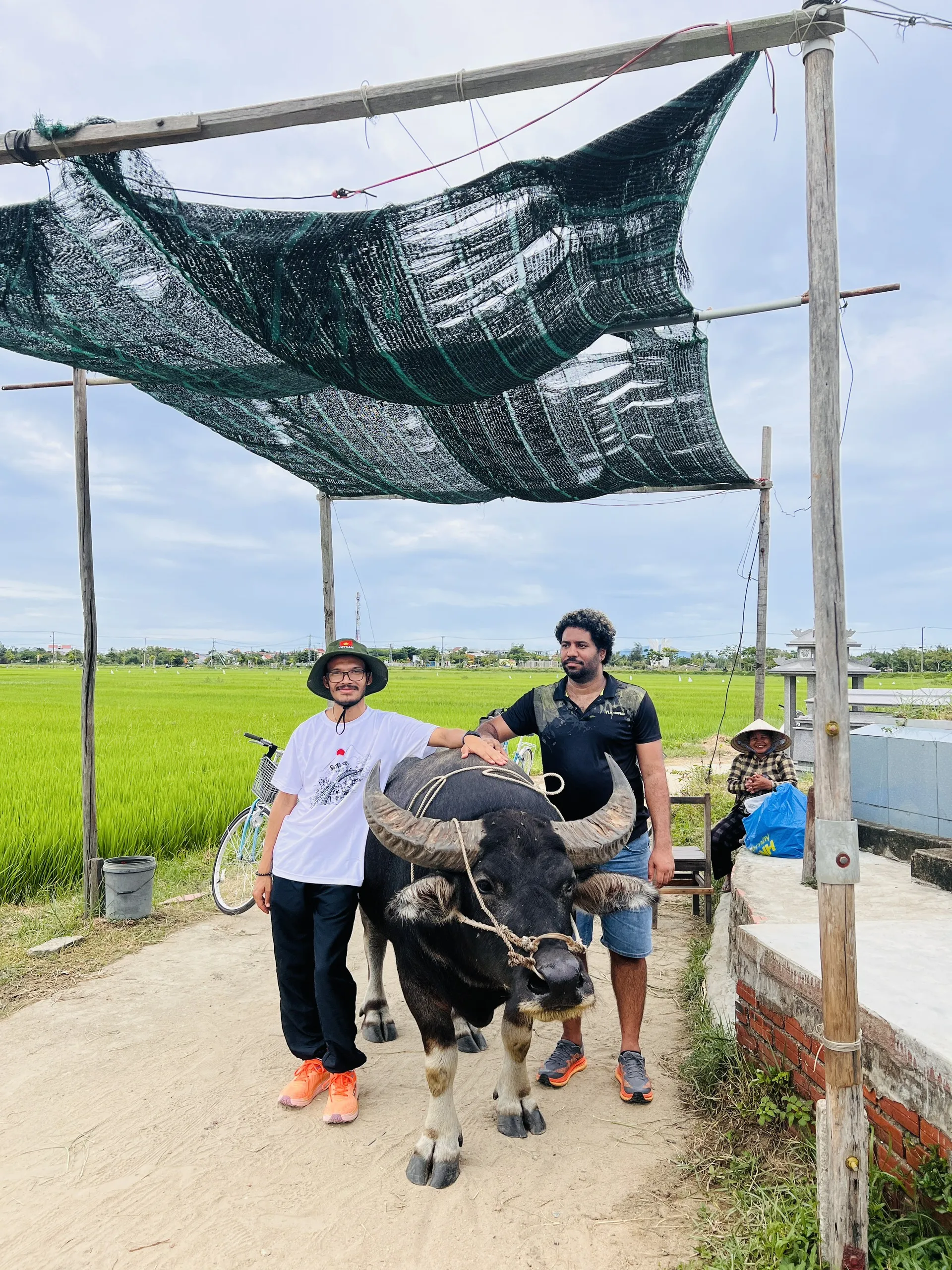 Vietnam 21-day tour